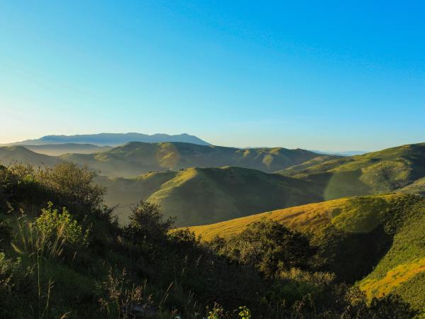 California landscape of rolling hills with green vegetation and blue skies