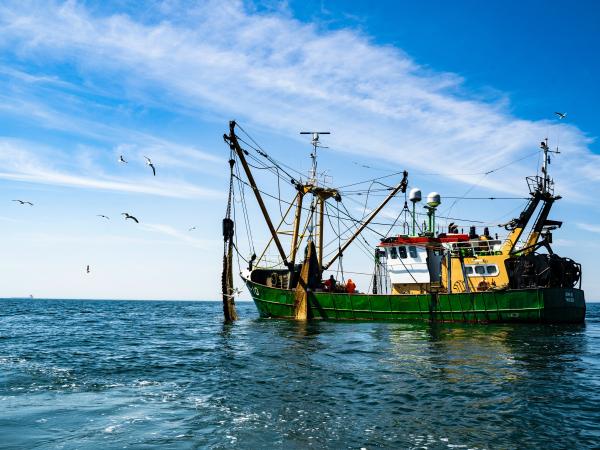 Fishing boat out in the blue ocean, with clear blue skies above