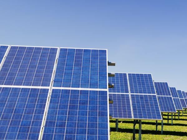 a row of solar panels on a green grass field, with light blue sky