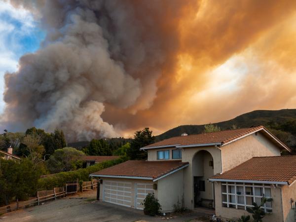 Plume of wildfire smoke in sky above housing area