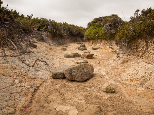 Close up of dried soil in creek bed