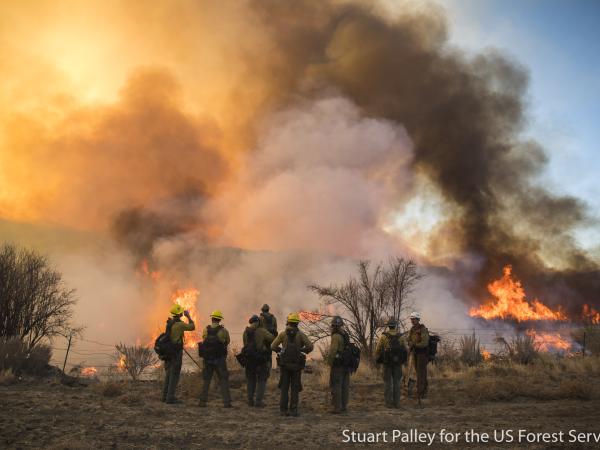 Firefighters gather at fire's edge with lots of smoke
