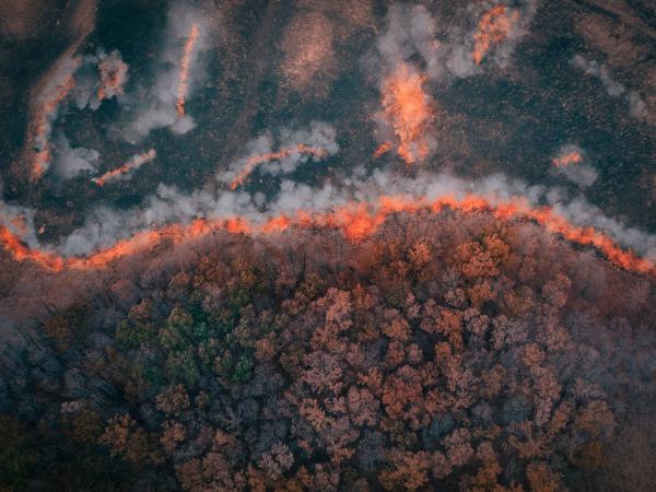 wildfire aerial istock