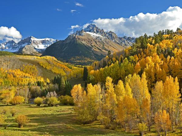 Mountain with blue sky and yellowing trees and grass in front of it in Colorado.