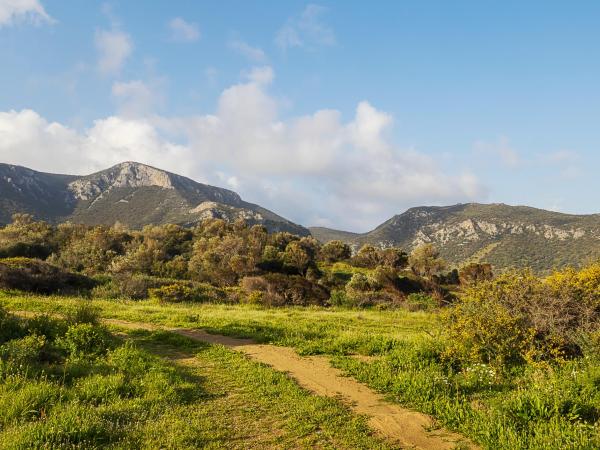 Trail in the Santa Barbara mountains