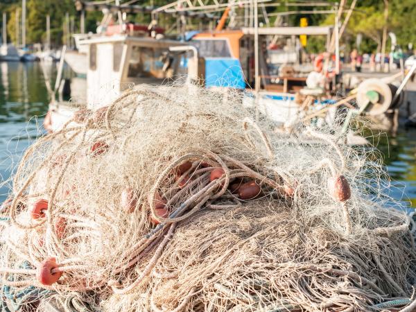 Fishing net to dry