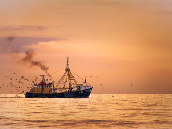 Fisherman boat on the sea with birds behind during sunset