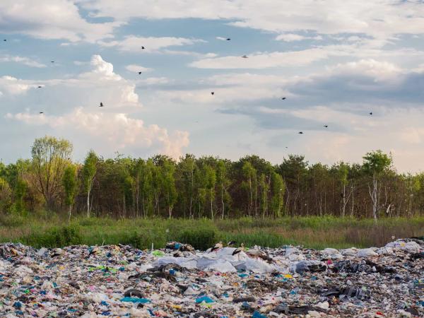 Large garbage dump against the backdrop of the forest, the landfill pollutes the environment