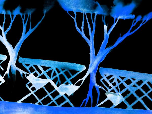 Photo Credit: Ethan Turpin & Naomi Tague "Tree Water," detail, 2024