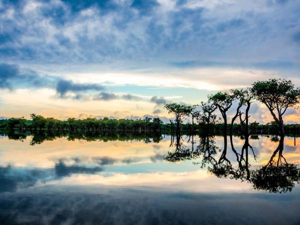 Lake with reflection of trees at dusk or blue hour. 