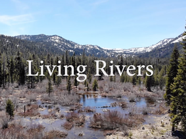 Living Rivers